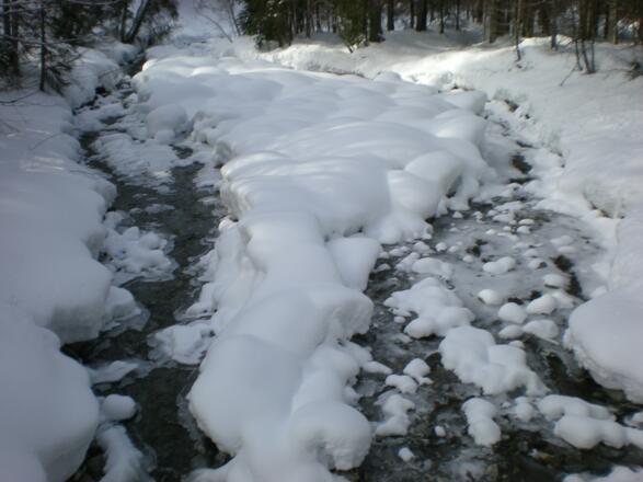 Die Bolgenach beim Ausgangspunkt