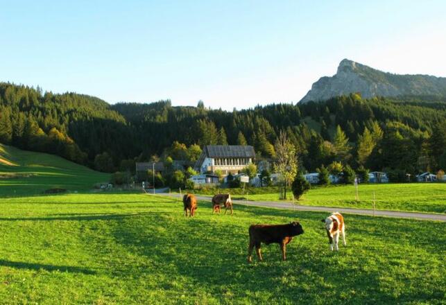 Südansicht unserer Ferienanlage