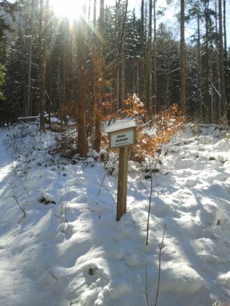 Geradeaus ins Ofental, nach rechts die Abzweigung ins Sittersbachtal
