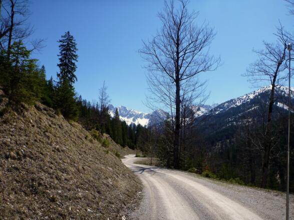Schotterweg im Gleirschtal