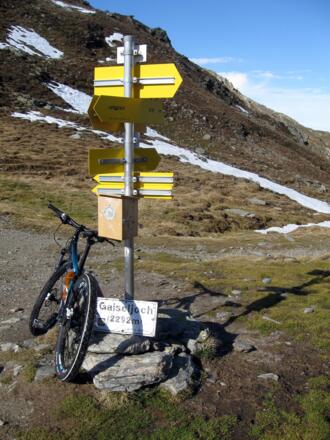 Schilderbaum auf dem Joch