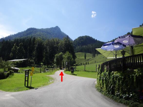 Für den Zustieg benützen wir diesen Weg.