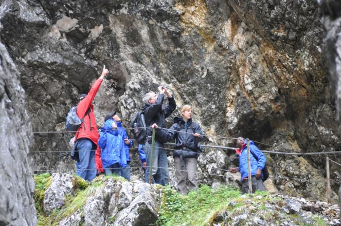 viel zu entdecken für Jung und Alt