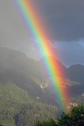 Regenbogen in der Schönau