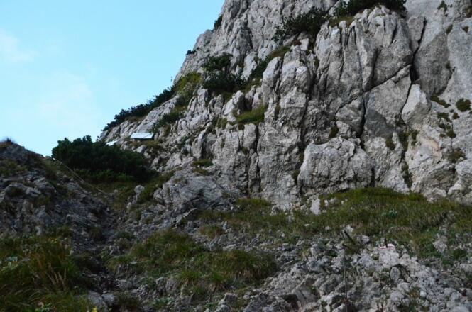 kurz vor der Abzweigung (etwa 1500m)