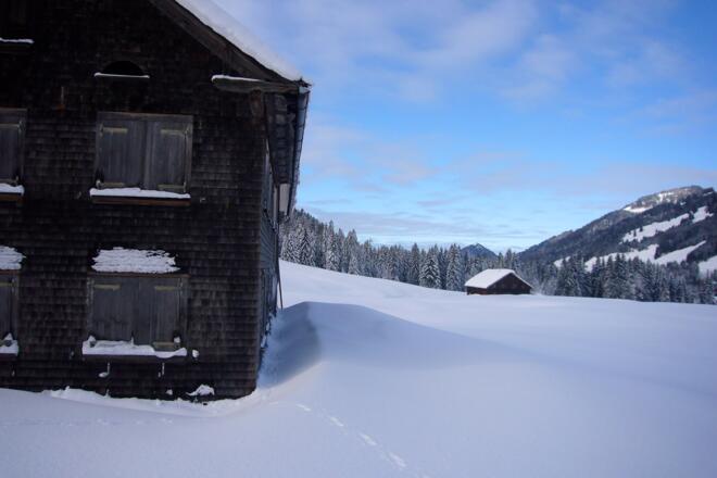 Die Lichtensteiner-Hütte im Hintergrund die Lappachalpe