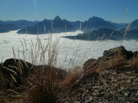 Ausblick vom Rauhen Kopf im Spätherbst