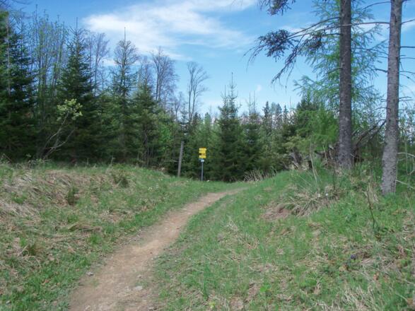 Wegweiser zur Hütte.