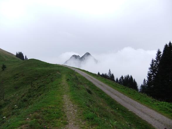 Pfad 621 zum Mariaeck - mit Rückblick auf Roßstein und Buchstein