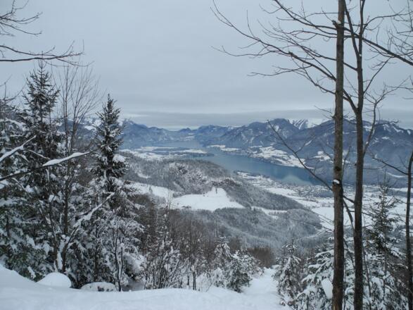 Der schmale Durchschlupf oberhalb der Laimeralmwiese (27.1.2012)