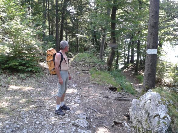 Am Ende der Straße geht es nach links steil durch den Wald hinauf.