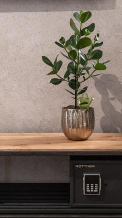 Glanz_Glory_Glanzer_Contrast-02726