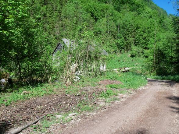 Entlang des Wendbaches.