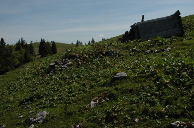 verfallene Almhütte auf Vierkaser