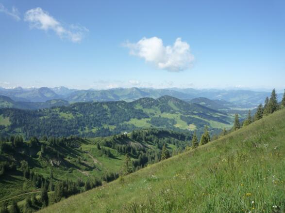 Staufner Haus; Zustieg von der Alpe Scheidwang Aussicht Ri. Süden