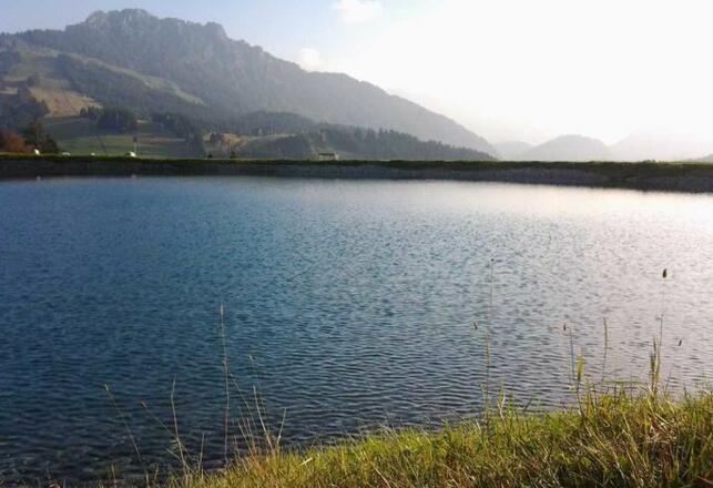 Haus Jörg    Kräutervermieter