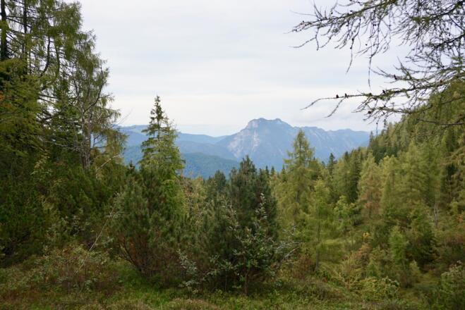 Hörndlwand im oberen Teil des Rührhübeltales