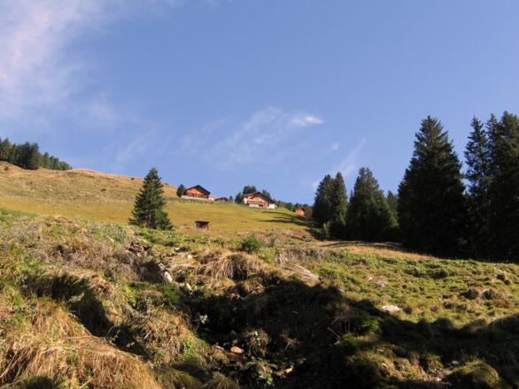 Die Hütten der Hochsinnalm und Fiderissalm - Echte Almidylle