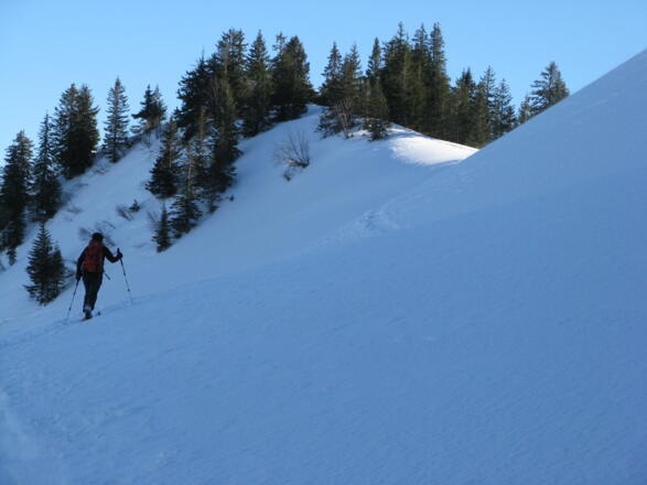 Kurz vor Erreichen des Ostrückens vom Riedberger Horn