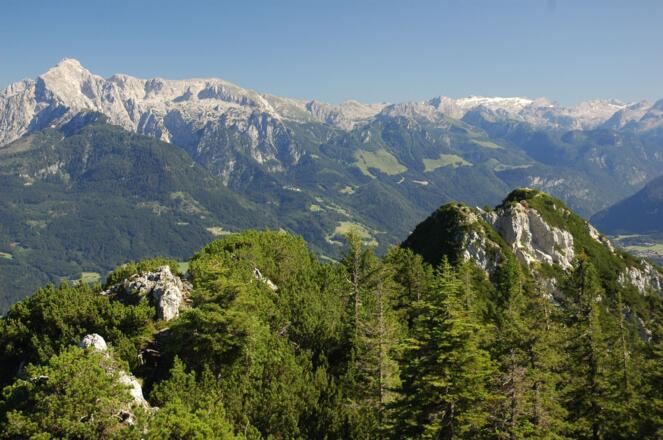 Fels und Latschengrat zum Rauhen Kopf