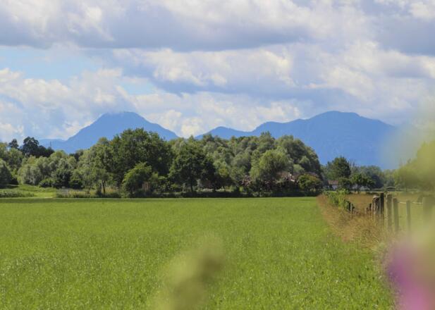 Landschaft