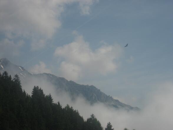 Ein Adler über den Großen Burgstall