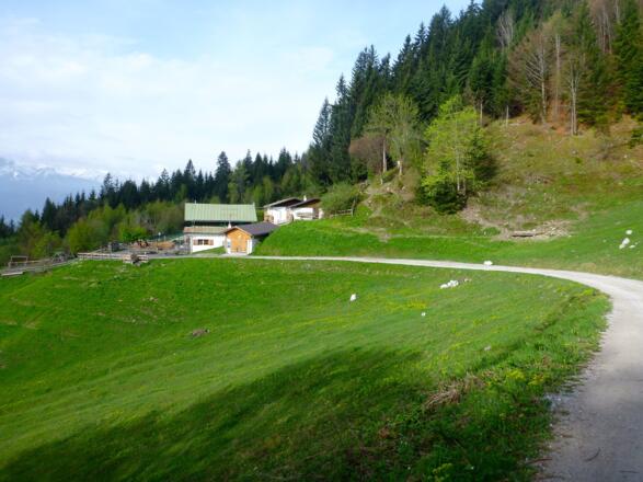 Blick zurück zur  Arzleralm