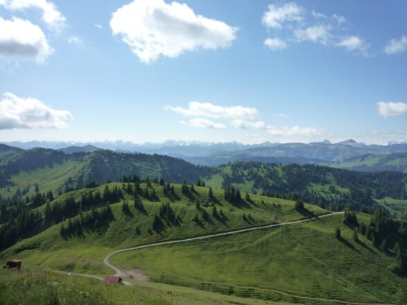 Staufner Haus; Zustieg von der Alpe Scheidwang Aussicht Ri. Osten