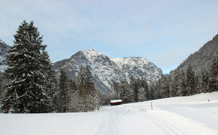 Langlauf Loipe Ramsau Taubensee