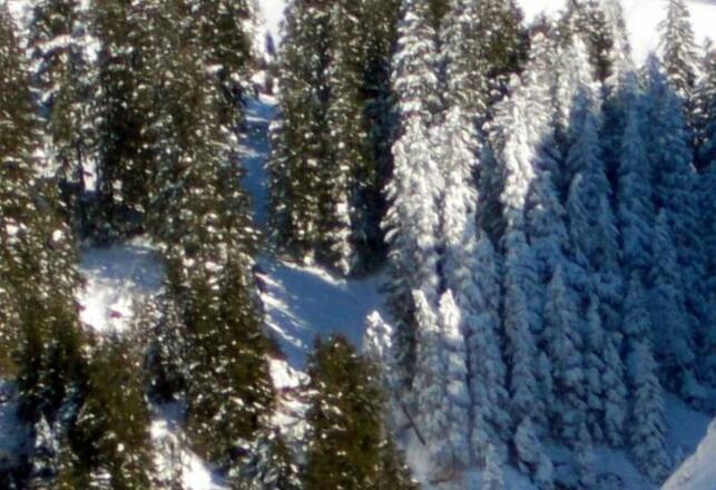 Fewo Löffler   Haus Tina