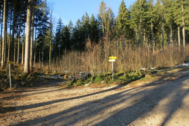 Abzweigung Hochstaufen über Bartlmahd (Wir bleiben rechts)