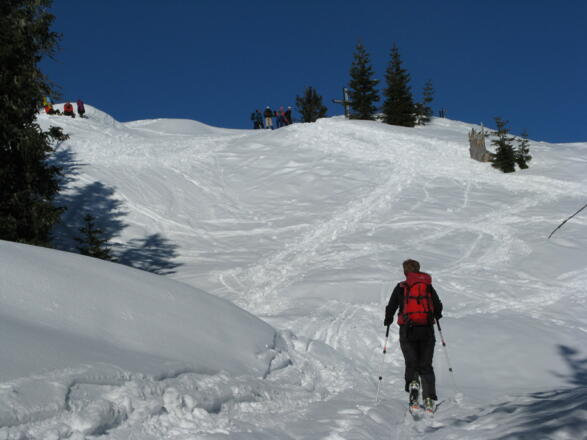 Kurz vor dem Großen Ochsenkopf, 1662 m