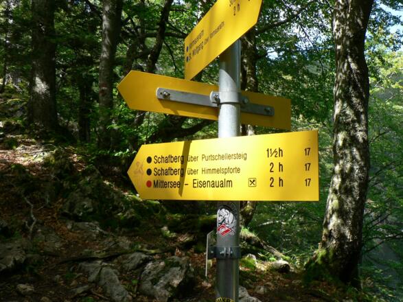 Wir nehmen den Purtschellersteig Nr. 17 auf den Schafberg