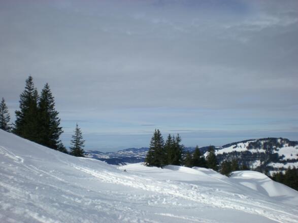 Blick Richtung Bodensee