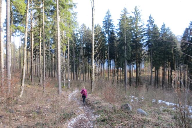 Kurz vor dem Parkplatz