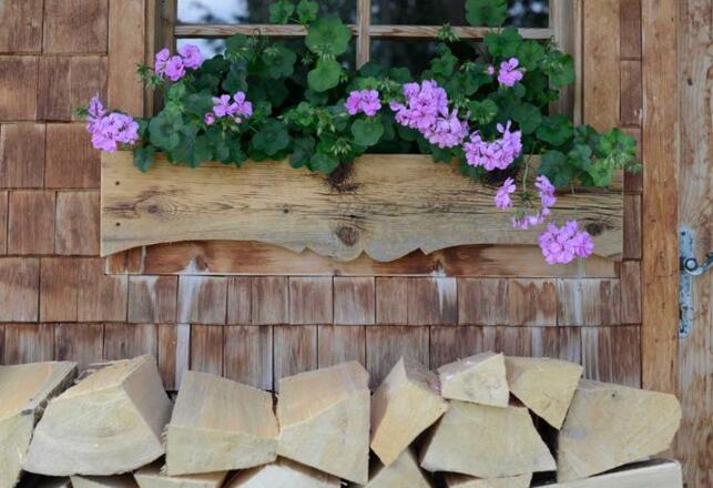 Aussenansicht im Sommer