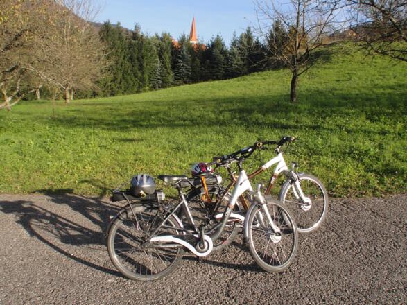 Donauradweg (5)