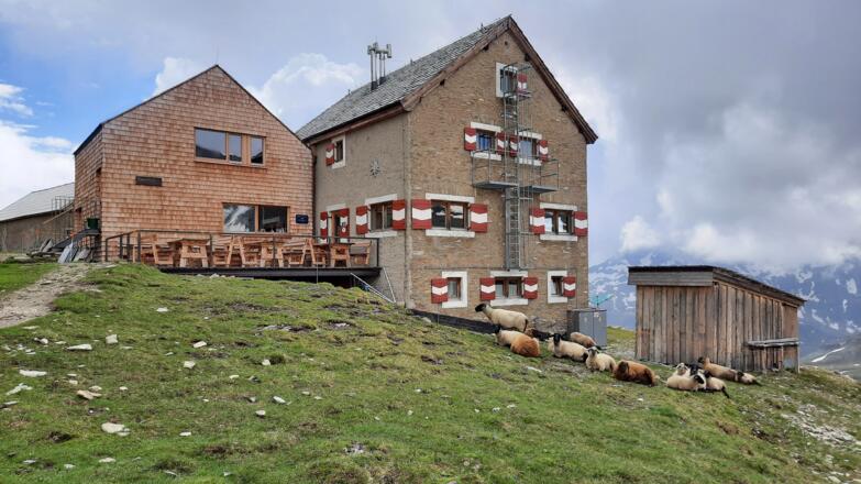 Salmhütte mit neuer Glocknerterasse und Schafherde