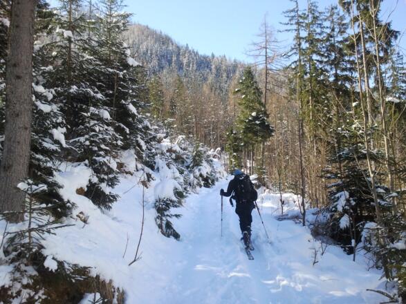Die Querung zum Sittersbach