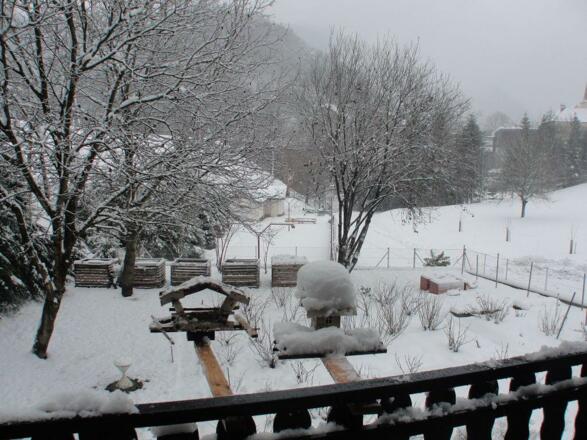 Blick in den verschneiten Garten