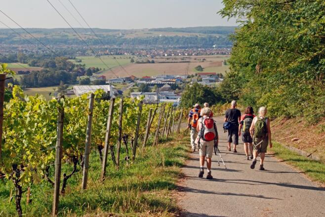 Endspurt nach Elsenfeld