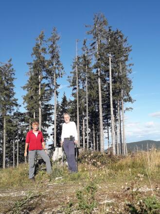 Sulzbergschneid