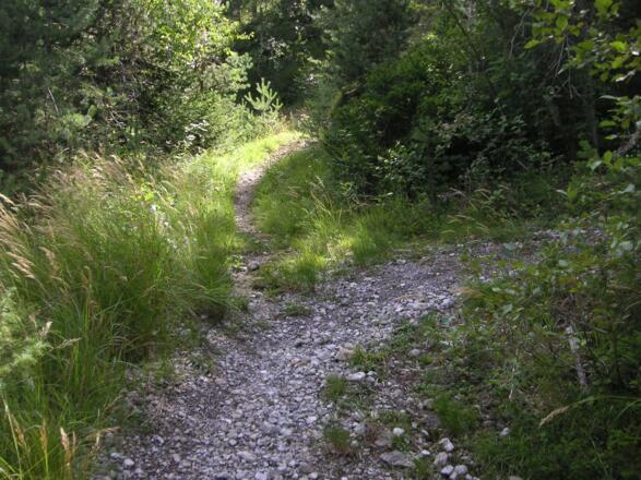 Wegabzweigung zum Kopfsteig