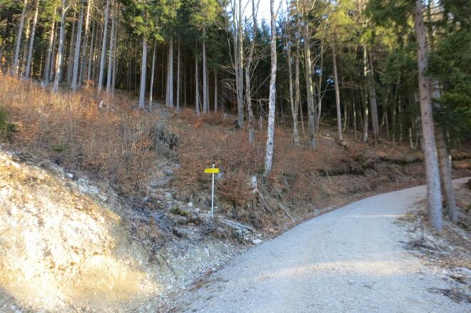Von der Forststraße auf den Steig