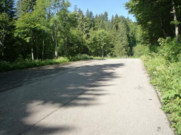 Parkplatz ca.400 m unterhalb Alpe Scheidwang