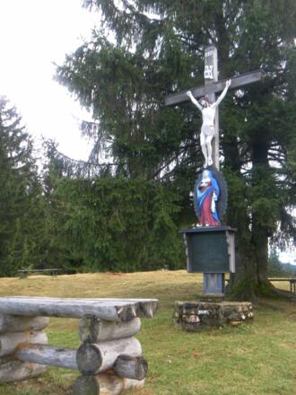 Zinnkopf