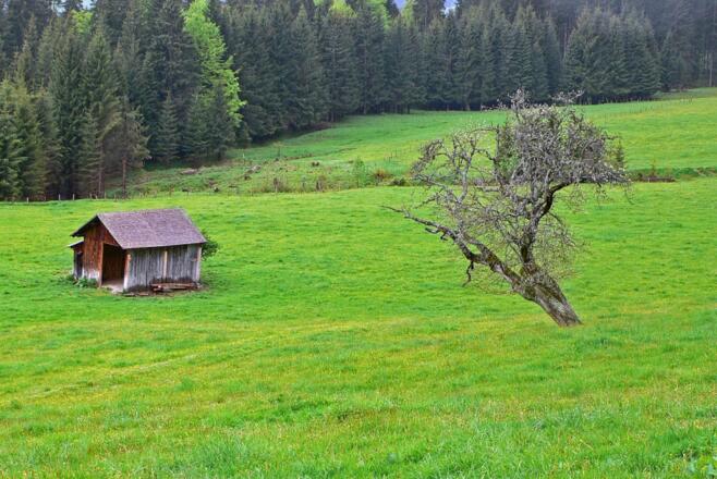 Im Gunzesrieder Tal