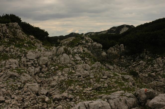 Hochfläche in der Nähe des Mitterbergs