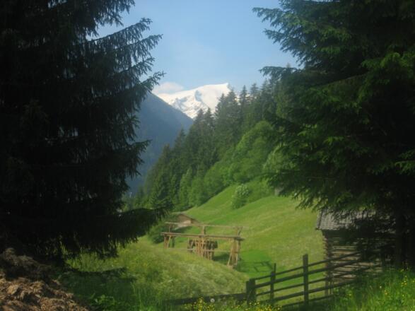Im Hintergrund der Wilde Freiger.