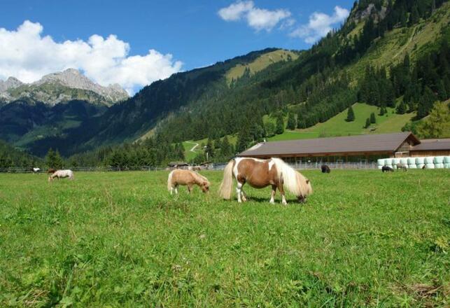 Berggut Gaicht